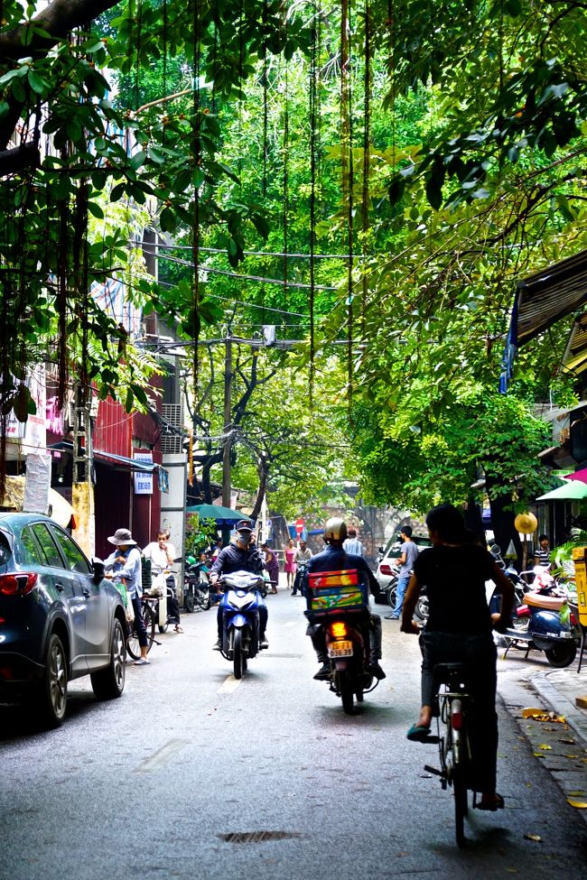 緑も結構あります