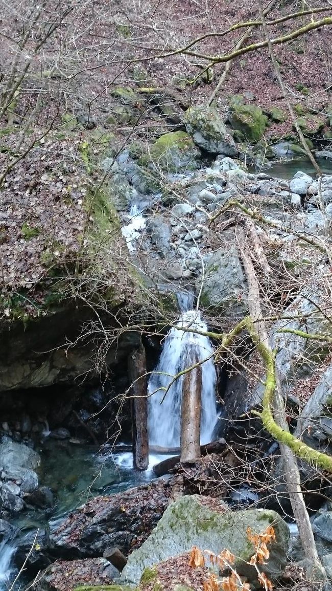 入川渓谷 トロッコ道ハイキングとモミジ祭りでジャズを聴く In埼玉県 秩父 秩父 埼玉県 の旅行記 ブログ By Chaiさん フォートラベル