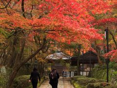 【金剛輪寺】
http://www.kongourinji.jp
拝観時間：8:30〜17：00
入山料：600円
駐車場：地蔵茶屋近く（無料）