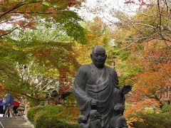 東福寺を後にして、歩いて今熊野観音寺へ向かいました。
途中で洋食屋さんに立ち寄り腹ごしらえ。
次こそは京都っぽいものを食べようと思いつつ、カルビ定食を頼みました。

紅葉具合としては東福寺の方が進んでいましたが、美しさは今年は今熊野観音の方がよかったかもしれません。
こちらの方が木が生き生きとして見えました。