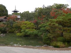 今熊野観音寺から歩いて東福寺駅へ移動し、そこから電車を乗り継いで仁和寺へ行きました。
移動中はほとんど寝てしまっていたため、あまり詳細を覚えていませんごめんなさい…
一人じゃなくてよかったです。起こしてくれてありがとう！

仁和寺ではもう時間があまりなかったため、庭園を中心に見て回りました。
御所の中が撮影OKだったのが嬉しかったです。
時間があればもっとじっくり見てみたかったな。