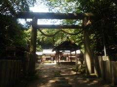 3.5kmほど北上し，生駒市高山町の高山八幡宮．
創建は749年，主祭神は誉田別命･足仲彦命･気長足姫命．
境内拝観自由，駐車場あり．