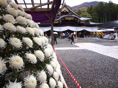 　弥彦神社に参拝しました。