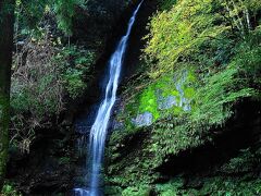  琵琶の滝

かずら橋からすぐ近くにある滝です。

昔、平家落人が京の都をしのび、この滝で琵琶をかなで、つれづれを慰めあっていたことから名付けられたと言い伝えられている高さ50ｍの滝。