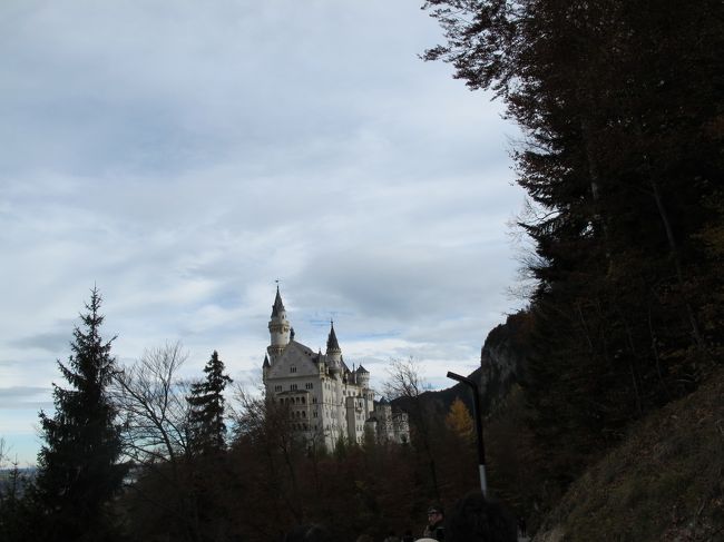 見えてきました。