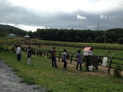 最後は、ダチョウ牧場にやってきました！

ニセコから千歳方面に帰る途中にあります♪

すごく広い草原にダチョウが放し飼いされています。