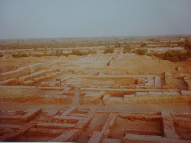 城塞部のストゥーパよりの大浴場跡