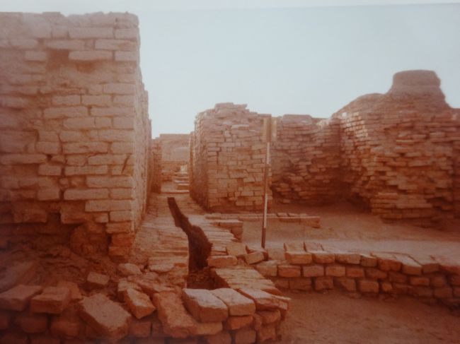 家々の様子（中央の溝は下水道跡　４５００年前にこんな設備がありました。）