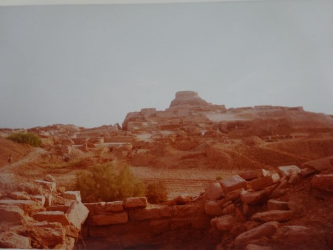 市街地より城塞部のストゥーパを見ます。（中央奥に発掘している人がいますが、何と、鍬で発掘し傍には真新しいレンガがあります。驚きの一言です。発掘と言うより、大雑把な復元です。）