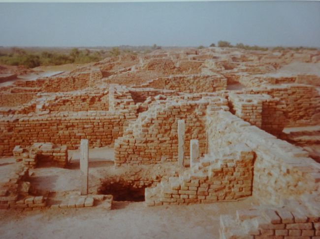 市街地の住居跡の数々（手前の穴は１０数Ｍの井戸）