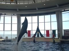 水族館到着！
（茨城空港利用の航空チケットの半券を見せると半額なのに
半券をホテルに忘れるという大失態！！
正規料金で入りました……）

ちょうど時間が合ったのでイルカショーを見ることにしました。
割と小芝居多めでストーリがあります。
オチもきちんとありました（笑）