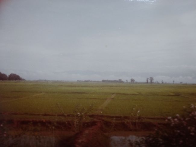 ルンビニ村の周囲