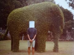 バーン・パイン離宮（像の形の植込みが可愛いです。）