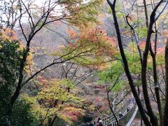 13：50　花貫渓谷：吊り橋
駐車場からゆるい上り坂を２０分歩くと到着、揺れます