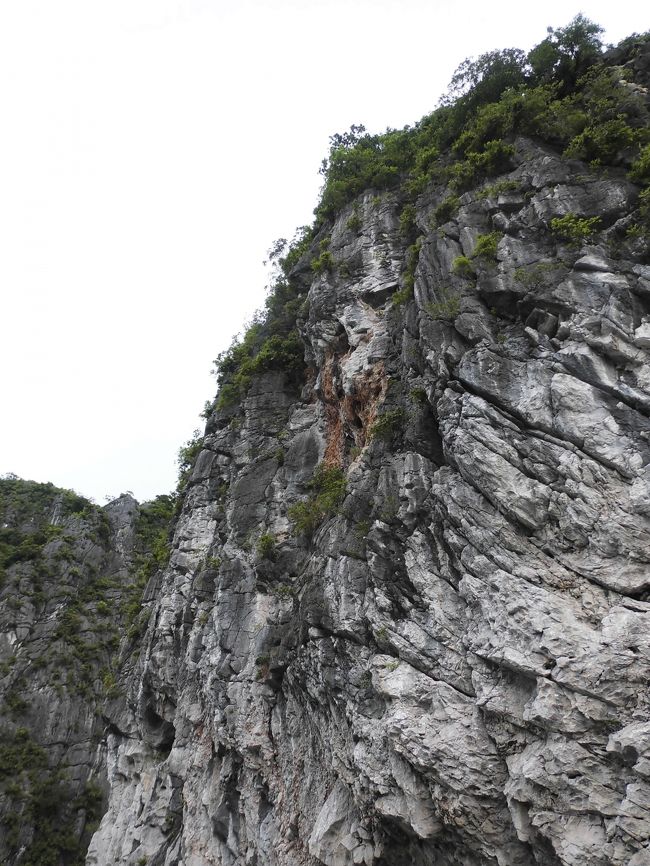 こんなに近くを船で通過します<br />どんどん奥に入っていきます