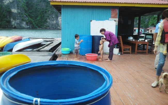 チビちゃんがお母さんに散髪してもらってました<br />ほのぼの〜〜＾＾