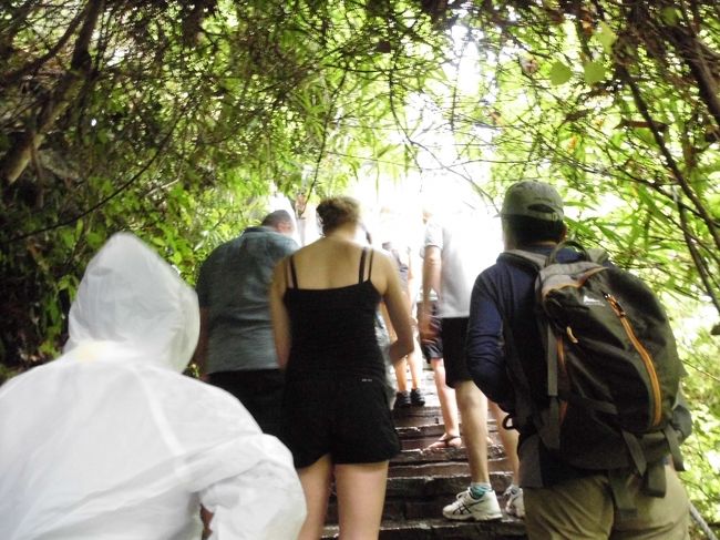 階段を登って行きます