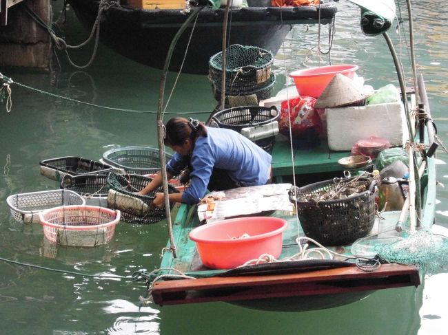魚介類をカゴに入れ販売してます