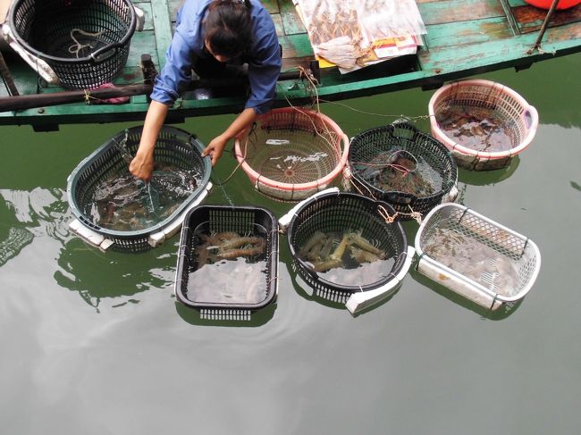 魚介類をカゴに入れてます