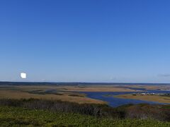 湿地帯に広がる沼地の広がりがアクセント。