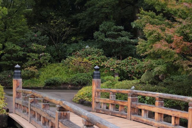 10時前から徳川美術館は長蛇の列。<br />雨も降り始めてきたので、本降りになる前に、徳川園を満喫します。<br /><br />徳川美術館、徳川園は、JAFカードを提示するとお値打ちになります。<br />但し、美術館入口で購入してくださいね。