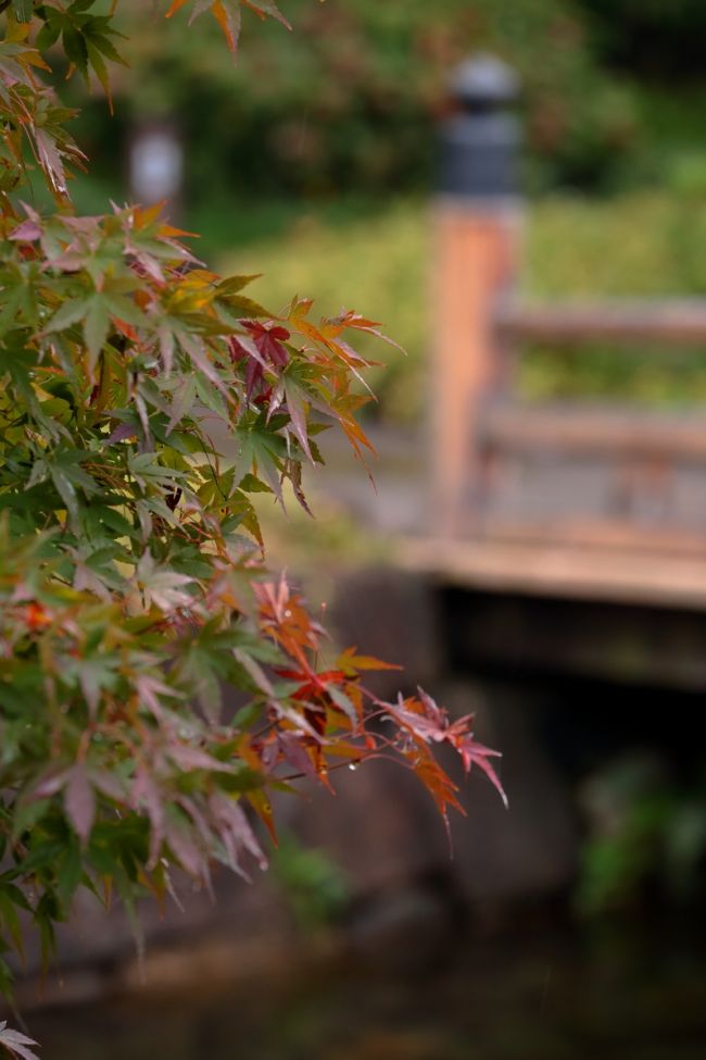 雨が降っているから？　平日だから？<br />そんなに人は多くはなかったです。