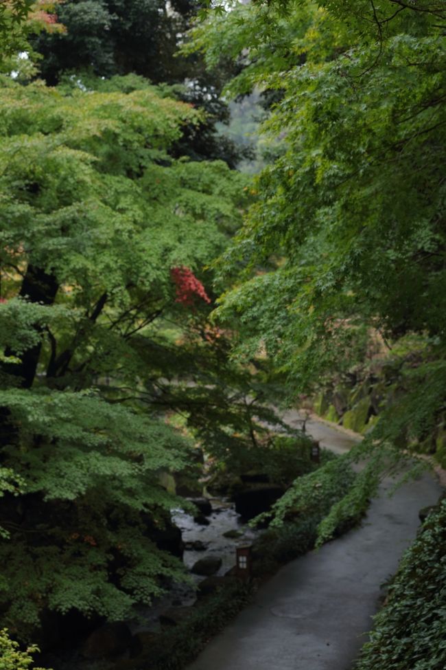 ゆっくり歩くには丁度良い庭園なんです^^