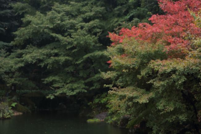 雨も悪くはないのですが･･･<br /><br />曇っていて薄日が差す位がよいですね〜♪