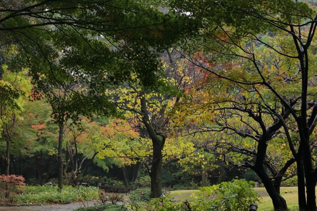 人は殆ど写ってませんが、この後小学校の子供たちがわんさか。