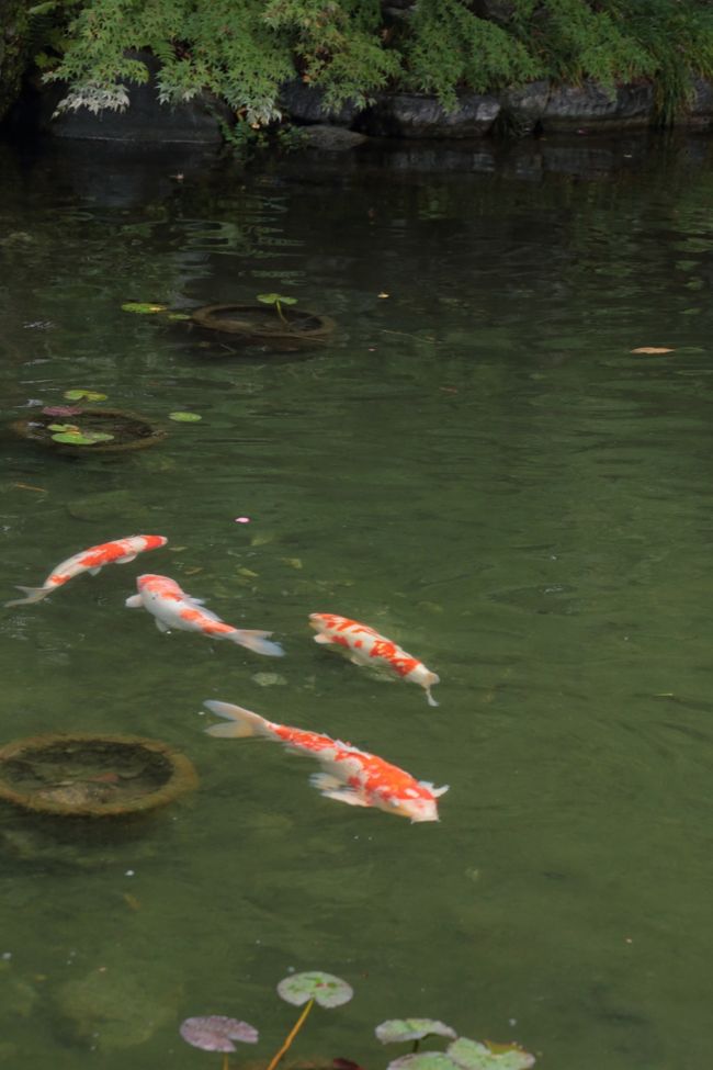 ここも三脚スローシャッターで撮りたかったですね^^