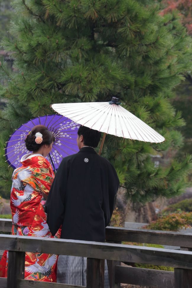 この日は、何組かのカップルが写真を撮ってました。<br /><br />雨で大変だったかもですが、<br />雨の素敵な雰囲気に仕上がるんでしょうね〜。<br />晴天よりよいかもです。