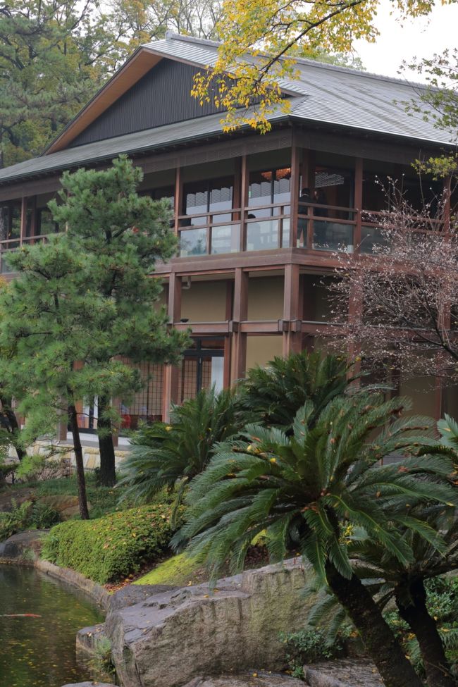 十月桜。<br /><br />中国の観光客の方が喜んで撮っていらっしゃいました。