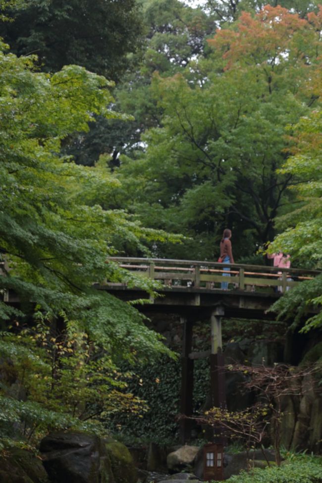 今ではどこへ行っても外人さんを見かけますね〜。<br /><br />観光大国･･･<br />宿泊施設が追いついていないですよね。<br />出張の際には非常に苦労します(>_<)
