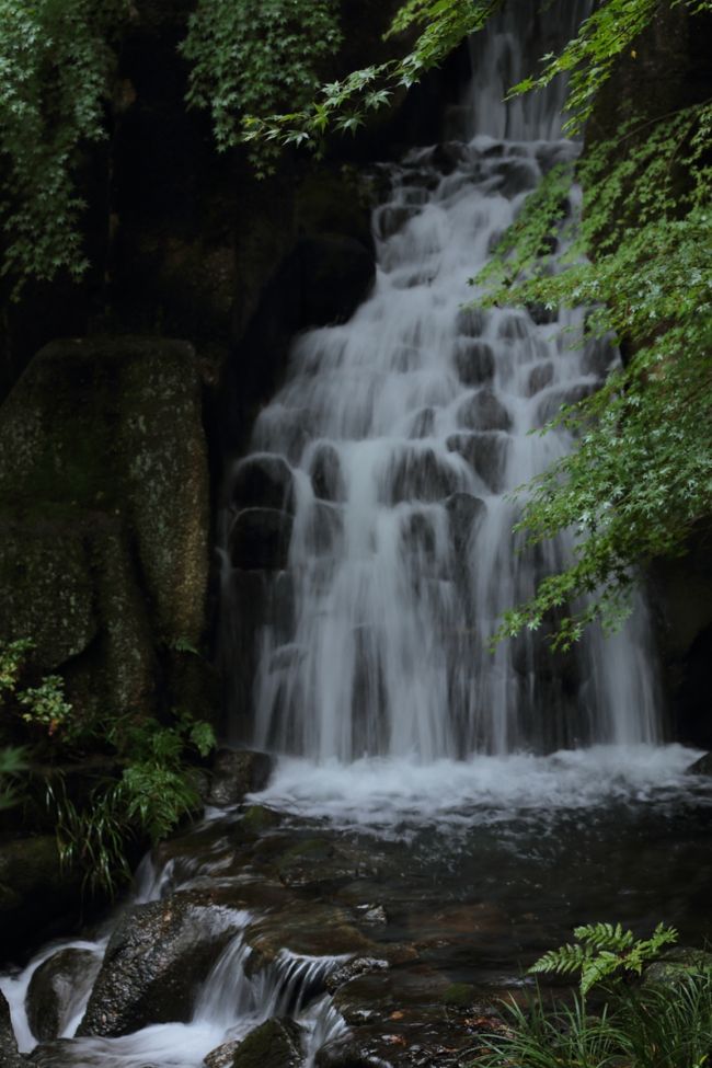 私の場合ですが･･･<br />やはり一番最初に撮った一枚がよいって事が多いです^^;<br /><br />一枚に思いを込めて･･･丁寧に撮った方がよいのでしょうね。