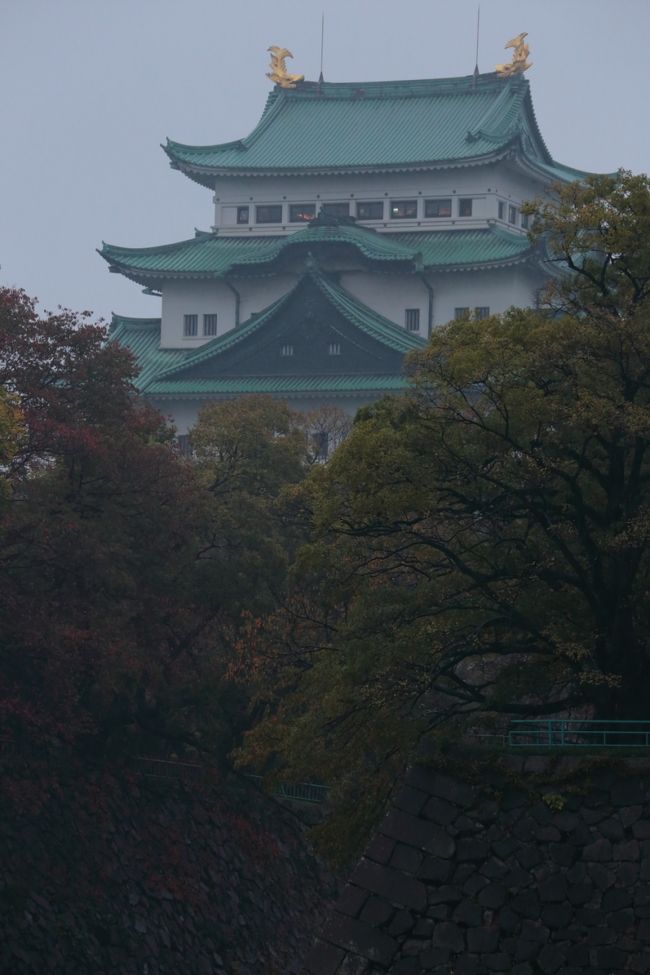 折角なので、名古屋城を。<br /><br />駐車場から撮りました。<br />いつでも行けると思い、名古屋城って何回行ったかな〜？<br />なので、殆どお城を撮ったことが無いので、<br />ちと、うれしい♪