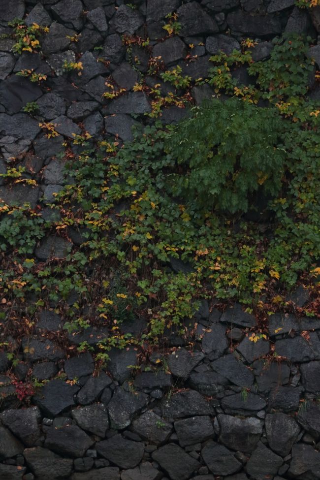 以上、おしまい。<br /><br />最後迄、ご覧くださいまして有難うございました。