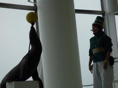 朝早めにいかないと、駐車場が激混みらしい。私たちはセーフ。