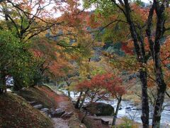 香嵐渓の紅葉