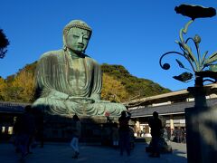 鎌倉の大仏さんがおられる高徳院へやって来ました。

おぉぉ〜。少し前傾姿勢の大仏さん、奈良の大仏さんとは違って
青空の下、孤独にただずんでいらっしゃいました。感動〜！
思っていたよりずっと大きい。