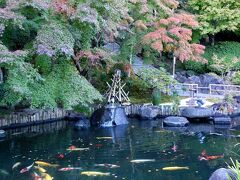 高徳院からは歩いて長谷寺へ。
美しい庭園。池には色とりどりの錦鯉。
