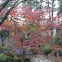 紅葉の恵林寺と湯村温泉常盤ホテル