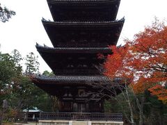 最後に仁和寺の五重塔〜っ