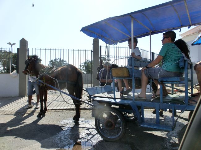 <br /><br />観光馬車も?