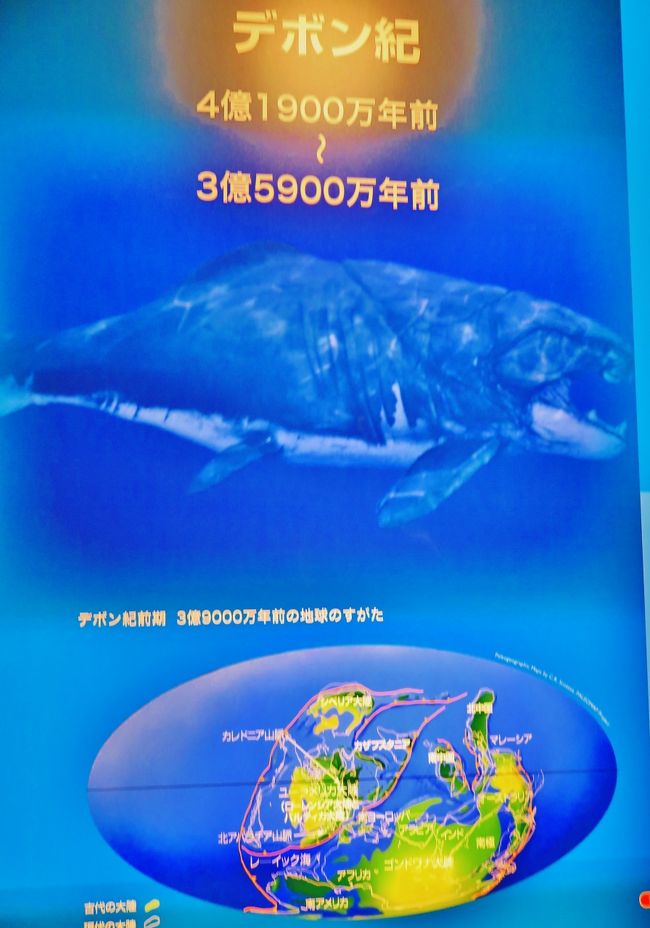 国立科学博物館C 生命大躍進-2 哺乳類の出現と多様化 ☆恐竜の