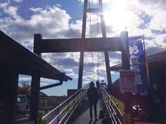 奥塩原に行く途中、もみじ谷大吊橋があったので立ち寄りました。
日本最大級のつり橋だとか。
渡橋料300円かかりますが、ワンコはOKでした。