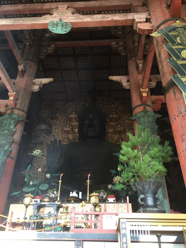 大仏さんはやっぱりでかかった。。<br />