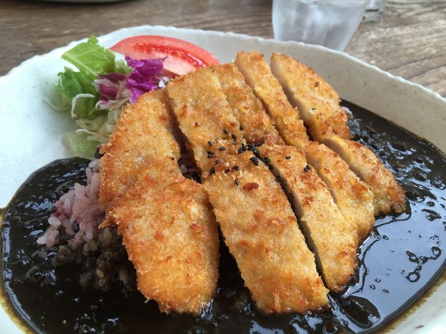 大和ポークの黒カレー。<br />1080円でした。