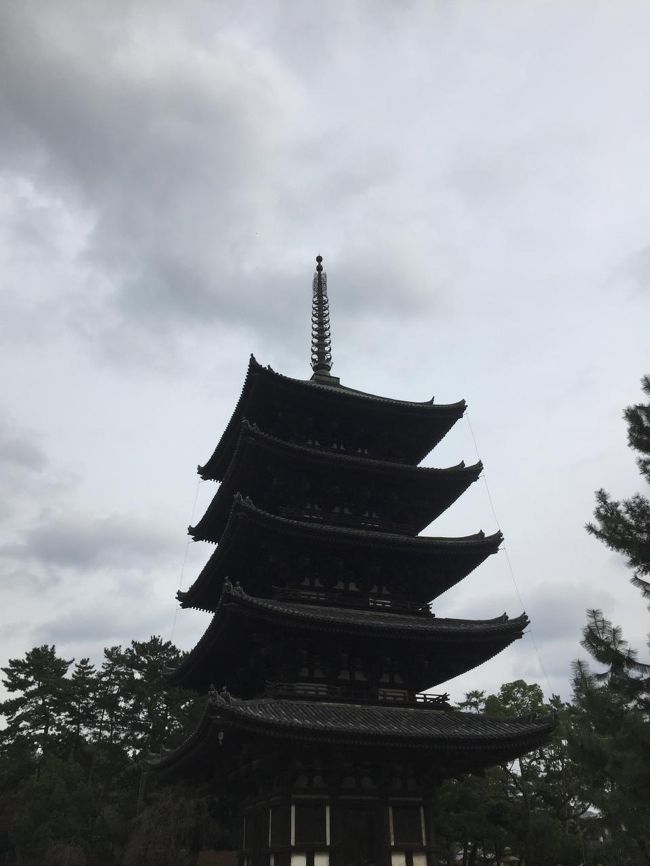 最後に興福寺で五重塔。<br />小学生以来なのでなんだかちょっと小さく感じました。<br />久々の奈良。<br />次は法隆寺とかいってみたいな。