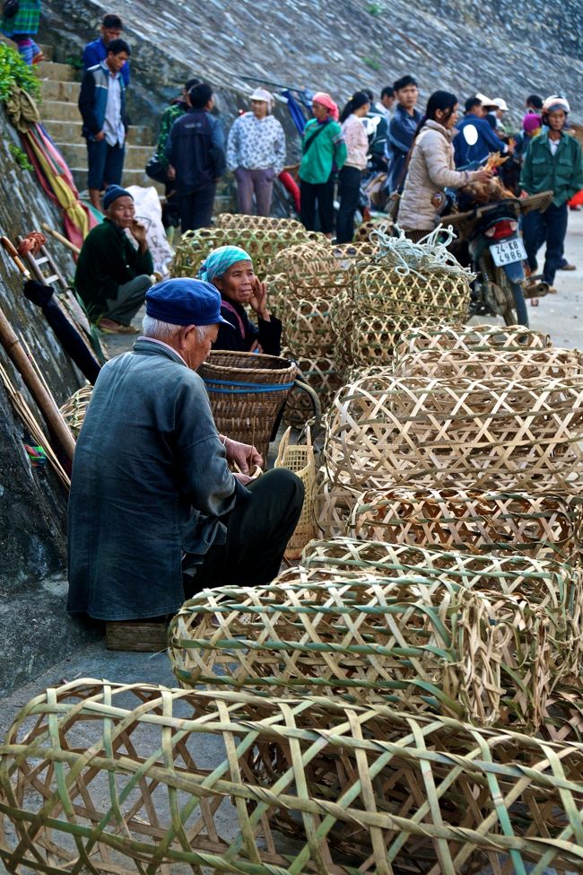 そして少し下の所では<br />別の動物売り場