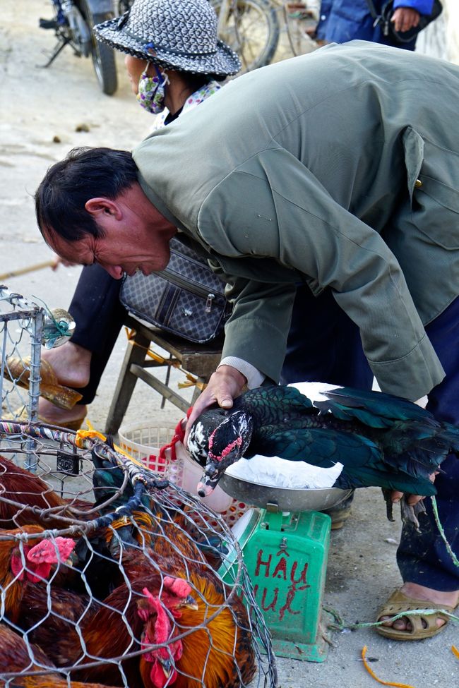 こっちは鴨？ガチョウ？<br />重さで値段が違うようです
